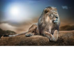 Lion Inc. Games
