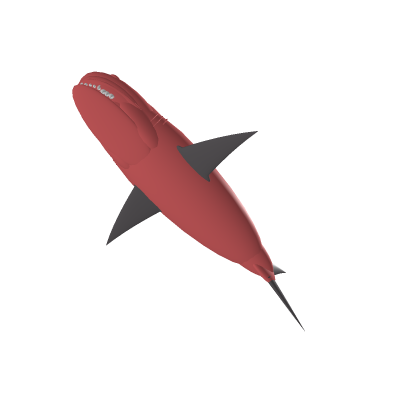 NEW Megalodon