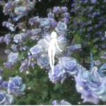 Tansy Garden