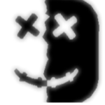 Black And White Assassins