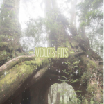 - violets fits -