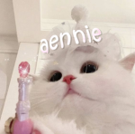 aennie