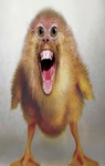 i made this group while eating cheese