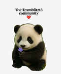 TeamBlitz13