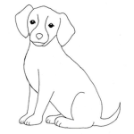 L&K pet offical