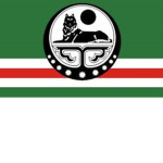 Chechen_GANG