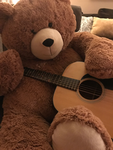 Logan’s bears