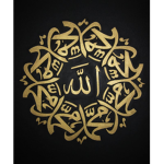 Brothers Of Allah
