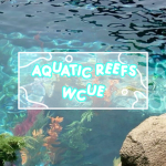 .: Aquatic Reefs WCUE :.