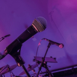🎤