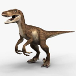#THE RAPTORS
