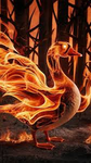 The Fire Of Goose ‘o’ Flam