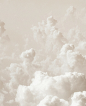<3 dreamers <3