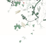 harm nation
