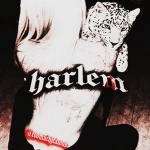 Harlem HS Group Thumbnail