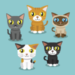 Kitty Cat Studios!