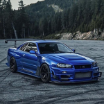 Midnight Rivals