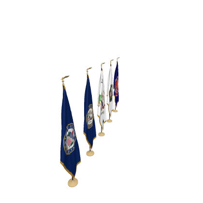 Flags of the Legislative Branch