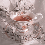 ~+-.Fairy Goddess Group.-+~