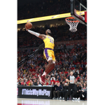 you are a famous basketball player