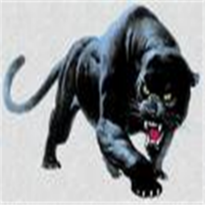 The Clan Of The Black Panthers icon Roblox decal