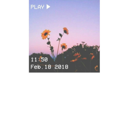 Vibe Place (Fall Update!)