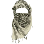 Praisе Irаq