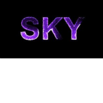 1sky