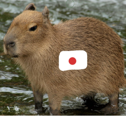 Capybara obby