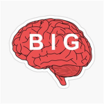 big brain in this group