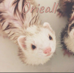 Orieall