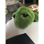Turtles United!!!!!!!!!!!!!!!!!!!!!!!!!!!!!!!!!!!!