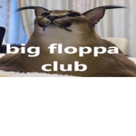 floppa group club