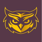 Bloxburg Owl High School