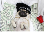 Dog Designers ®
