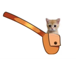 EL GATOS ARE THE BEST