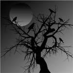 Info Paranormal society