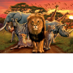 The African Animal Society