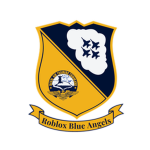 PTFS Virtual Blue Angels