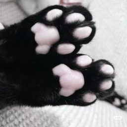 ૮꒰ ˶> ༝ <˶꒱ა