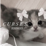 C U R S E S