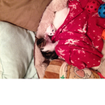 CATS ARE DA BEST XD