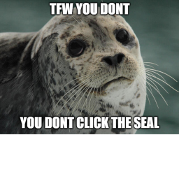 Click The Seal [SPECIAL EVENT!]