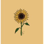 Sunflowers Shine Like you