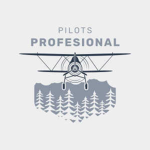 [SEA] The Professional Pilots