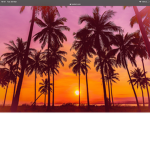 Sunset background vibes