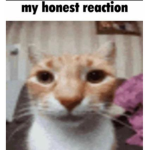 OoForums