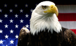 USA-EA