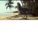 Game birds