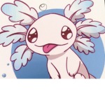 Axolotl but only friend and FANS!?…